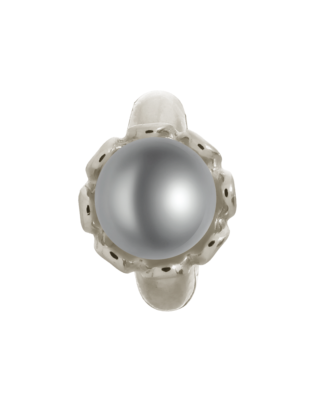 Grey Pearl Flower