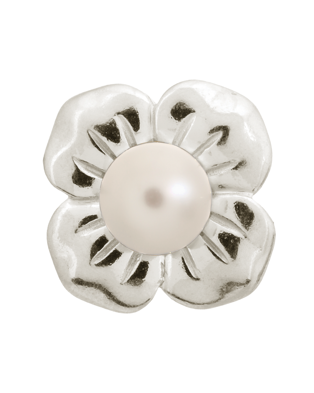 Big White Pearl Flower