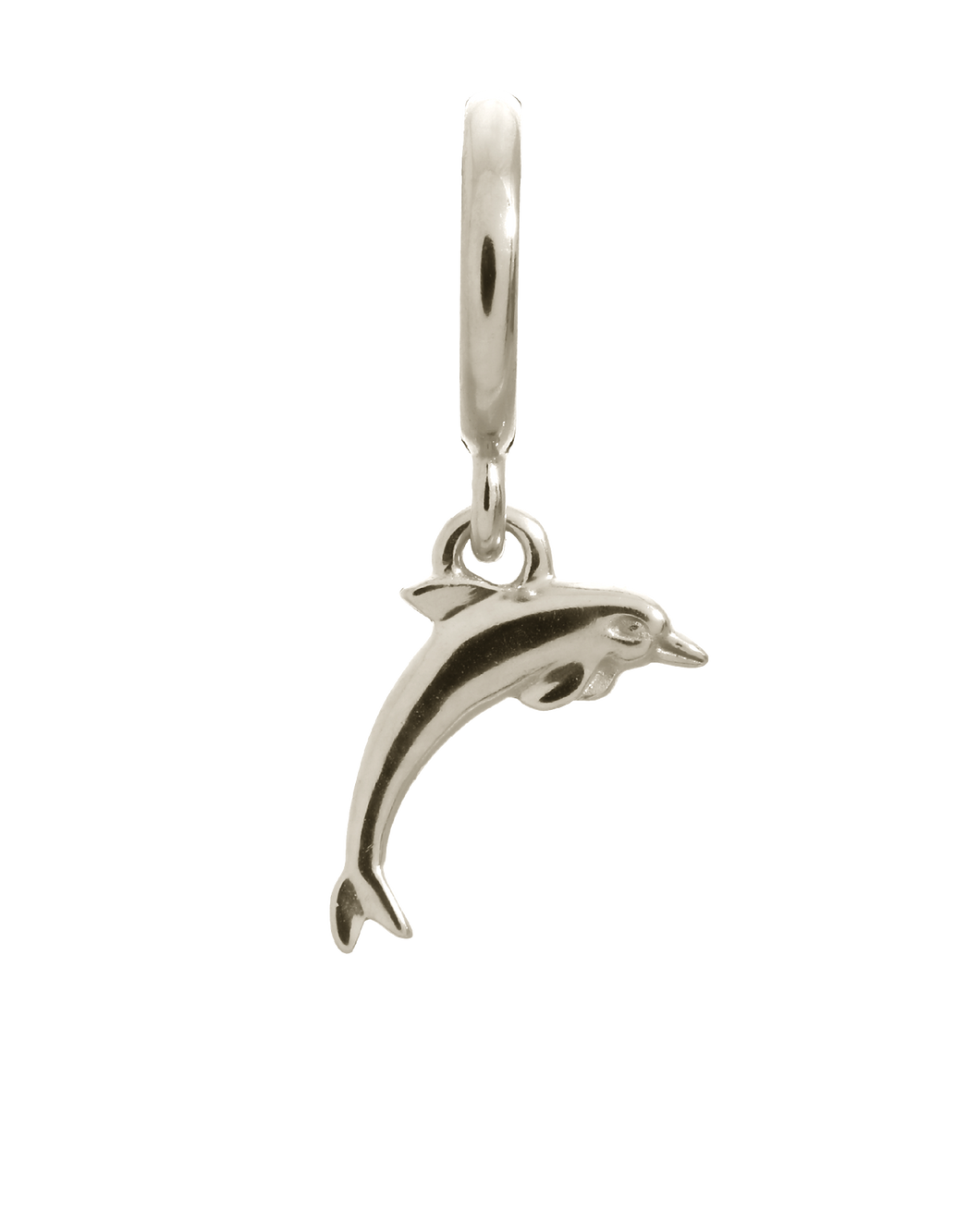 Dolphin Silver